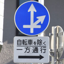 異形矢印標識(指定方向外進行禁止)。東京都世田谷区にある。