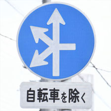 異形矢印標識(指定方向外進行禁止)。広島県広島市にある。