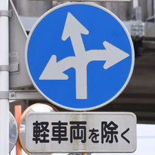 異形矢印標識(指定方向外進行禁止)。静岡県焼津市にある。