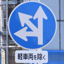 異形矢印標識(指定方向外進行禁止)。静岡県静岡市葵区にある。