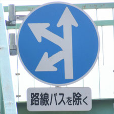 異形矢印標識(指定方向外進行禁止)。東京都江戸川区にある。