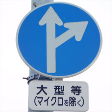 異形矢印標識(指定方向外進行禁止)。静岡県浜松市にある。