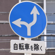 異形矢印標識(指定方向外進行禁止)。広島県広島市にある。