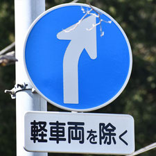 異形矢印標識(指定方向外進行禁止)。静岡県熱海市にある。