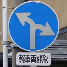 異形矢印標識(指定方向外進行禁止)。静岡県浜松市にある。