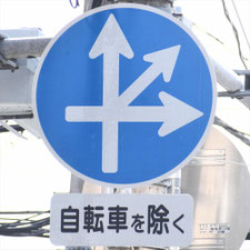 異形矢印標識(指定方向外進行禁止)。東京都中野区にある。