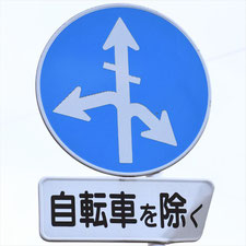 異形矢印標識(指定方向外進行禁止)。群馬県みどり市にある。