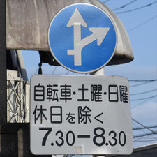 異形矢印標識(指定方向外進行禁止)。栃木県宇都宮市にある。