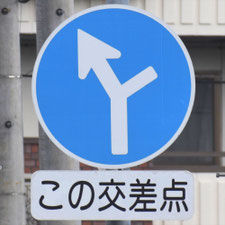 異形矢印標識(指定方向外進行禁止)。岐阜県岐阜市にある。