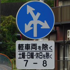 異形矢印標識(指定方向外進行禁止)。静岡県清水町にある。