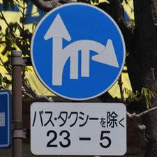異形矢印標識(指定方向外進行禁止)。栃木県宇都宮市にある。