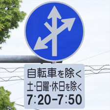 異形矢印標識(指定方向外進行禁止)。茨城県ひたちなか市にある。