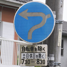 異形矢印標識(指定方向外進行禁止)。茨城県ひたちなか市にある。