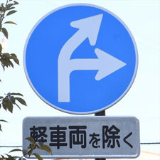 異形矢印標識(指定方向外進行禁止)。静岡県湖西市にある。