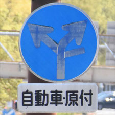 異形矢印標識(指定方向外進行禁止)。愛知県名古屋市にある。