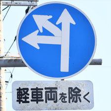 異形矢印標識(指定方向外進行禁止)。静岡県伊東市にある。