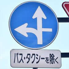 異形矢印標識(指定方向外進行禁止)。岡山県笠岡市にある。