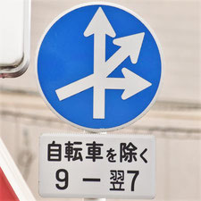 異形矢印標識(指定方向外進行禁止)。広島県広島市にある。