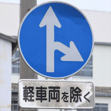 異形矢印標識(指定方向外進行禁止)。静岡県焼津市にある。