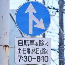 異形矢印標識(指定方向外進行禁止)。茨城県古河市にある。