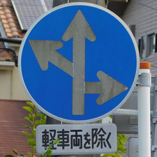 異形矢印標識(指定方向外進行禁止)。静岡県浜松市にある。