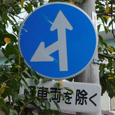 異形矢印標識(指定方向外進行禁止)。静岡県三島市にある。