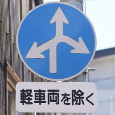 異形矢印標識(指定方向外進行禁止)。静岡県静岡市葵区にある。