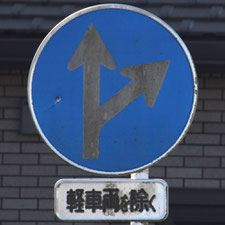 異形矢印標識(指定方向外進行禁止)。静岡県島田市にある。