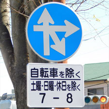 異形矢印標識(指定方向外進行禁止)。静岡県浜松市にある。