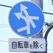 異形矢印標識(指定方向外進行禁止)。東京都目黒区にある。