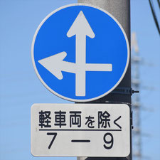 異形矢印標識(指定方向外進行禁止)。岡山県岡山市にある。