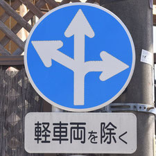 異形矢印標識(指定方向外進行禁止)。静岡県静岡市葵区にある。