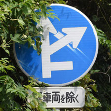 異形矢印標識(指定方向外進行禁止)。静岡県伊東市にある。