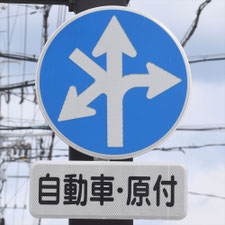 異形矢印標識(指定方向外進行禁止)。岐阜県岐阜市にある。