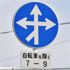 異形矢印標識(指定方向外進行禁止)。広島県広島市にある。