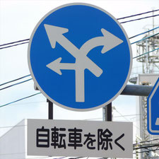 異形矢印標識(指定方向外進行禁止)。岡山県岡山市北区にある。