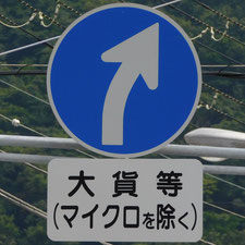異形矢印標識(指定方向外進行禁止)。静岡県清水町にある。