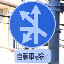 異形矢印標識(指定方向外進行禁止)。東京都目黒区にある。