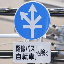 異形矢印標識(指定方向外進行禁止)。東京都清瀬市にある。