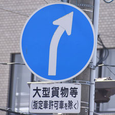 異形矢印標識(指定方向外進行禁止)。栃木県足利市にある。