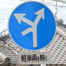異形矢印標識(指定方向外進行禁止)。静岡県伊豆の国市にある。
