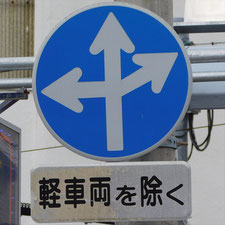 異形矢印標識(指定方向外進行禁止)。静岡県浜松市にある。