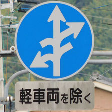 異形矢印標識(指定方向外進行禁止)。静岡県静岡市清水区にある。