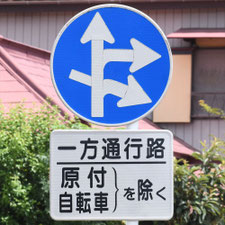異形矢印標識(指定方向外進行禁止)。千葉県千葉市にある。