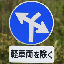 異形矢印標識(指定方向外進行禁止)。静岡県静岡市葵区にある。