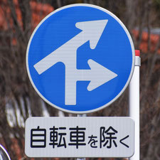 異形矢印標識(指定方向外進行禁止)。栃木県足利市にある。