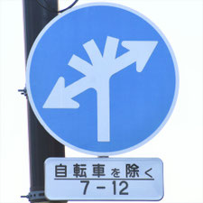 異形矢印標識(指定方向外進行禁止)。東京都大田区にある。