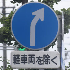異形矢印標識(指定方向外進行禁止)。静岡県掛川市にある。