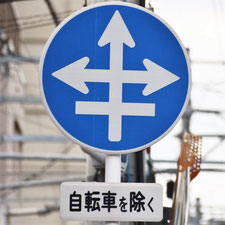 異形矢印標識(指定方向外進行禁止)。広島県広島市にある。