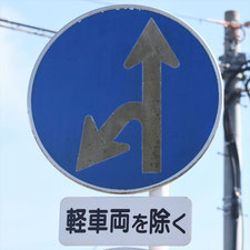異形矢印標識(指定方向外進行禁止)。静岡県静岡市駿河区にある。